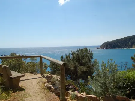 Appartement Front de Mer à Tossa de Mar avec Terrasse, Piscine et Accès Direct à 4 Plages Privées - Photo 16
