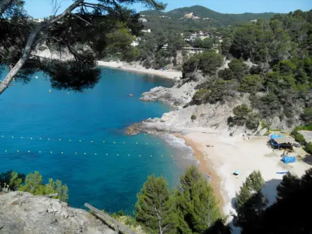 Appartement Front de Mer à Tossa de Mar avec Terrasse, Piscine et Accès Direct à 4 Plages Privées - Photo 17