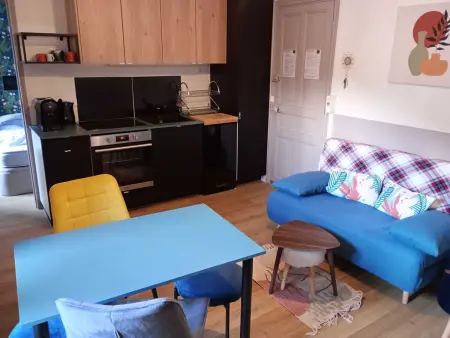 Appart. T2 Bis central avec wifi, Appartement 4 personnes à Mont Dore - Photo 1