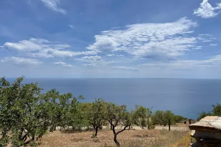 Complejo La Suerte, Maison Rurale Adra près des Plages - Photo 30