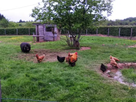 Maison de ferme restaurée avec animaux admis, proche du Cher - Photo 24
