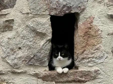 Maison de ferme restaurée avec animaux admis, proche du Cher - Photo 26