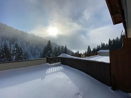 Appartement 3 pièces avec piscine et parking, jusqu'à 6 personnes - Photo 3