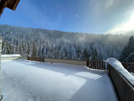 Appartement 3 pièces avec piscine et parking, jusqu'à 6 personnes - Photo 8