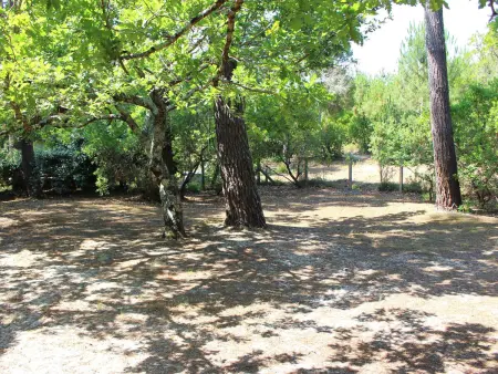 Villa landaise avec jardin proche plages et commerces, 3 chambres, terrasse couverte et barbecue - Photo 2
