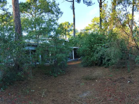 Villa en lisière de forêt avec jardin, à 1,5 km de l'Océan, idéale pour des vacances reposantes - Photo 1