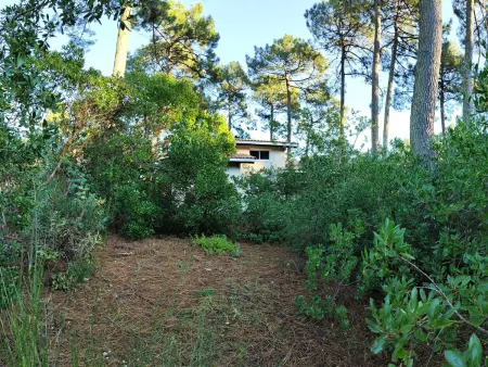 Villa en lisière de forêt avec jardin, à 1,5 km de l'Océan, idéale pour des vacances reposantes - Photo 11
