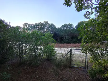 Villa en lisière de forêt avec jardin, à 1,5 km de l'Océan, idéale pour des vacances reposantes - Photo 12