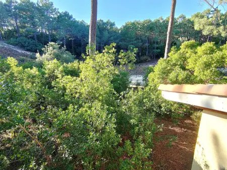 Villa en lisière de forêt avec jardin, à 1,5 km de l'Océan, idéale pour des vacances reposantes - Photo 17
