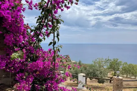 La Suerte Crisantemo, Villa à Adra avec vue mer et montagne - Photo 26