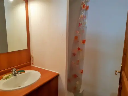 Appartement 2 pièces, 4 pers, ski aux pieds, Les Deux Alpes - Photo 7