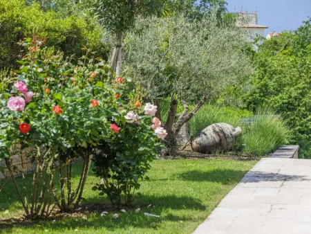 Villa Anita, Maison 4 personnes à Buje Momjan - Photo 16
