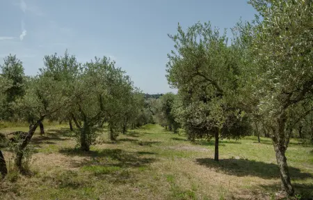 Maison 8 personnes à Torri in Sabina - Photo 8