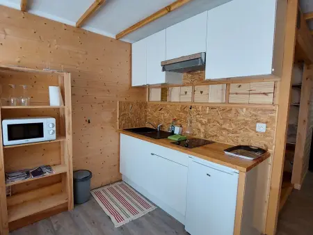 Studio cosy avec balcon sud et animaux admis, proche pistes - Photo 1