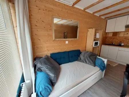 Studio cosy avec balcon sud et animaux admis, proche pistes - Photo 2