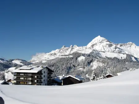 Appartement cosy 4 pers, au coeur de Crest-Voland, proche pistes, parking, balcon - Photo 6