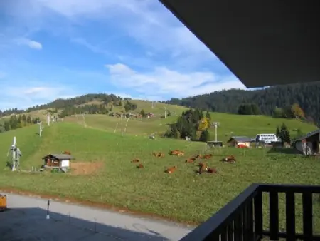 Appartement cosy 4 pers, au coeur de Crest-Voland, proche pistes, parking, balcon - Photo 7