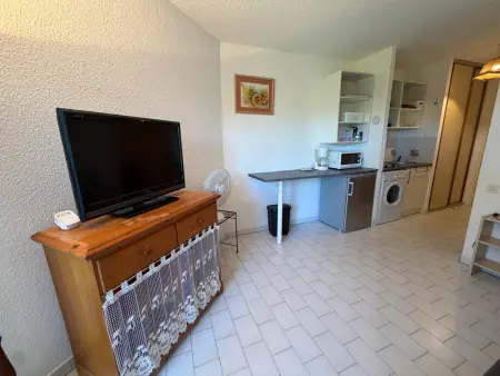 Studio Saint Cyprien à 50m de la plage, Appartement 2 personnes à Saint Cyprien - Photo 9
