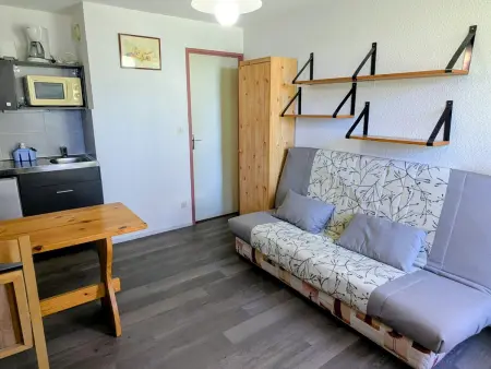 Studio au pied des pistes, animaux admis, Appartement 3 personnes à Les Adrets Prapoutel - Photo 1