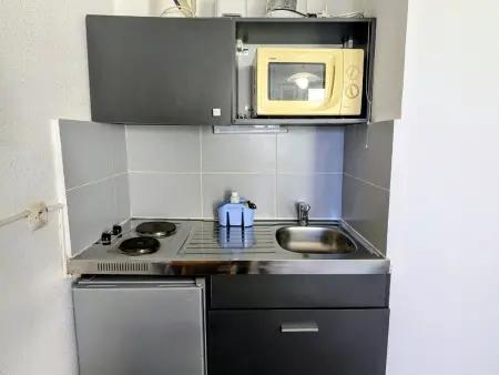 Studio au pied des pistes, animaux admis, Appartement 3 personnes à Les Adrets Prapoutel - Photo 3