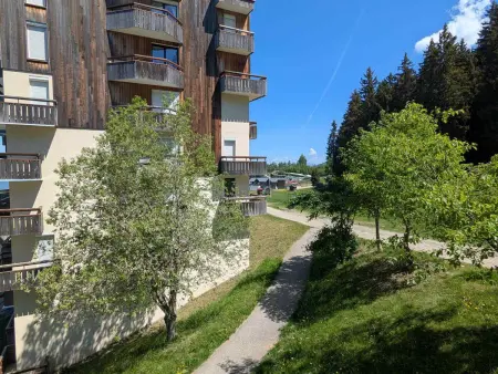 Studio au pied des pistes, animaux admis, Appartement 3 personnes à Les Adrets Prapoutel - Photo 6