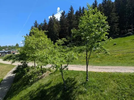 Studio au pied des pistes, animaux admis, Appartement 3 personnes à Les Adrets Prapoutel - Photo 7