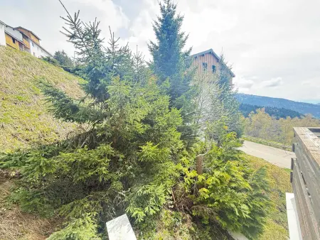 Studio cabine confortable avec balcon et animaux admis - Photo 8