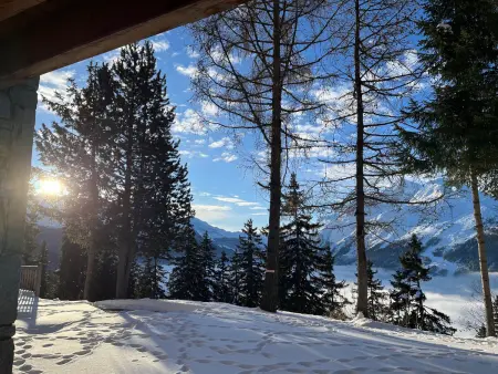Appartement lumineux à La Rosière avec jardin et spa - Photo 12