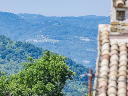 Villa Nicolara, Maison 6 personnes à Buzet - Photo 30