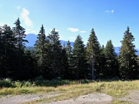 Appartement ensoleillé à Chamrousse, proche supérette - Photo 10