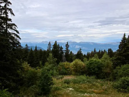 Appartement 30 m² avec balcon, à proximité des pistes et des commerces, animaux acceptés - Photo 11