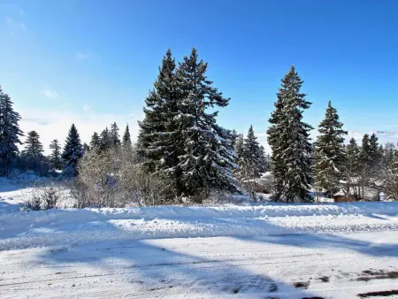 Bel appartement 30m² - 4 pers - Proche pistes, Appartement 5 personnes à Chamrousse - Photo 10