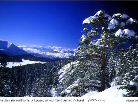 Bel appartement 3* plein sud à Chamrousse, avec terrasse et animaux acceptés - Photo 12