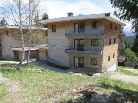 Bel appartement 3* plein sud à Chamrousse, avec terrasse et animaux acceptés - Photo 16
