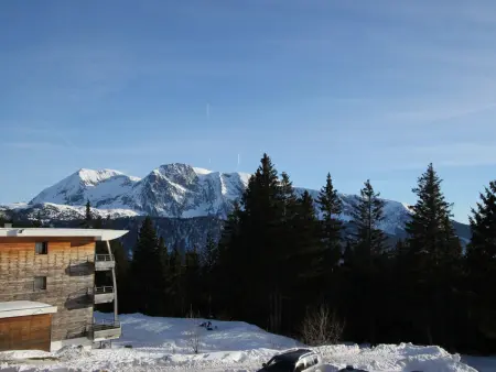 Appartement 2 pièces sud proche pistes Chamrousse - Photo 10