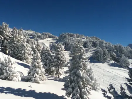 Appartement 2 pièces sud proche pistes Chamrousse - Photo 12