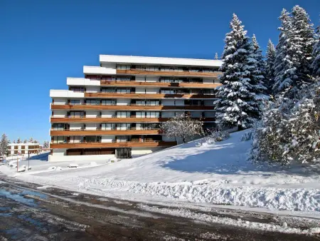 Studio rénové 3/4 pers proche pistes Chamrousse - Photo 7