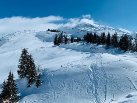 Appartement ski aux pieds pour 6 à Avoriaz avec balcon et WiFi - Photo 11