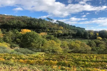 La Maison de Odette & Joseph, Escapade dans une ferme rénovée - Photo 39
