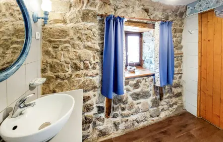 Maison 10 personnes à Champoly - Photo 33