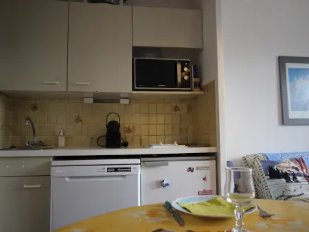 Studio 4 pers proche pistes, animaux admis, Appartement 4 personnes à Chamrousse - Photo 4