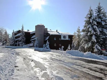 Studio 4 pers proche pistes, animaux admis, Appartement 4 personnes à Chamrousse - Photo 10