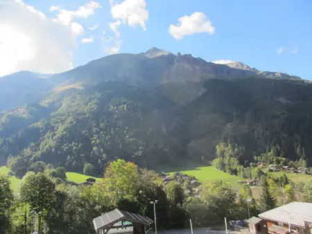 Appartement 3 pièces, balcon, parking, Contamines-Montjoie - Photo 9