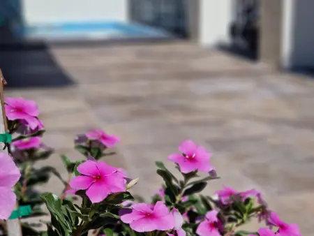 Villa Balneario de Pina - Maison Rénovée Près de la Plage à Málaga - Photo 1