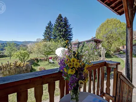 Ferme en Auvergne, terrasse, animaux admis, Gite 2 personnes à Vêtre sur Anzon - Photo 2