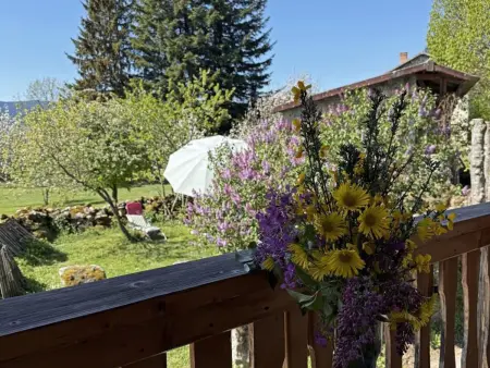 Ferme en Auvergne, terrasse, animaux admis, Gite 2 personnes à Vêtre sur Anzon - Photo 13
