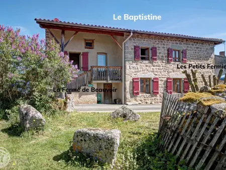 Ferme en Auvergne, terrasse, animaux admis, Gite 2 personnes à Vêtre sur Anzon - Photo 15