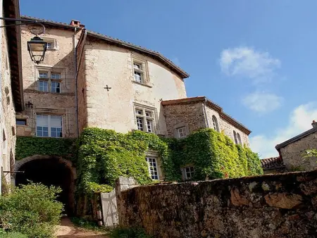 Ferme en Auvergne, terrasse, animaux admis, Gite 2 personnes à Vêtre sur Anzon - Photo 17