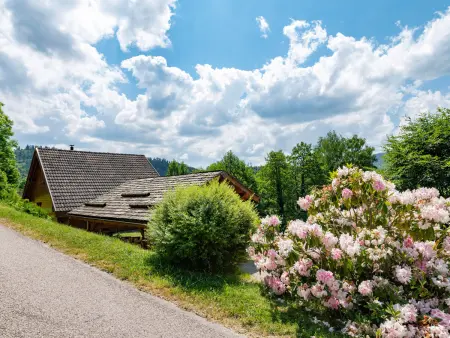 Chalet ensoleillé dans les Hautes Vosges avec terrasse, local vélos et skis, charges incluses - Photo 4