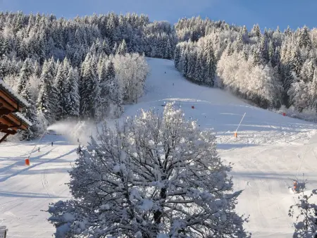 Studio proche centre et pistes pour 4 pers. à Morzine - Photo 5